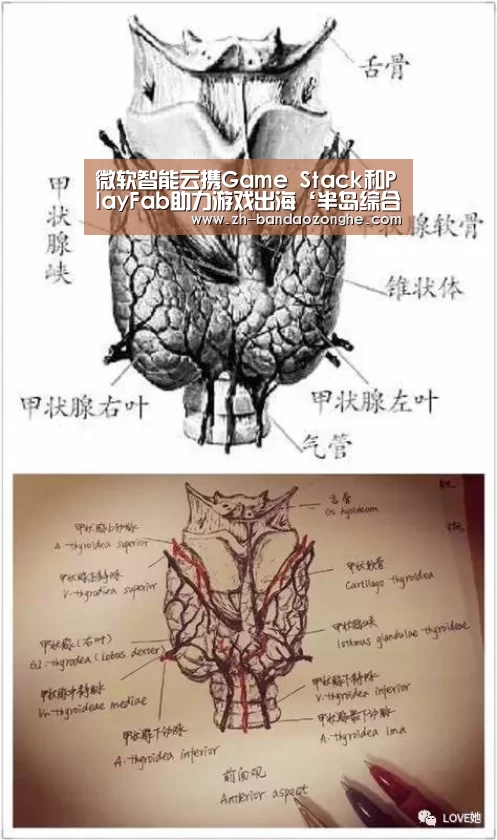 半岛综合