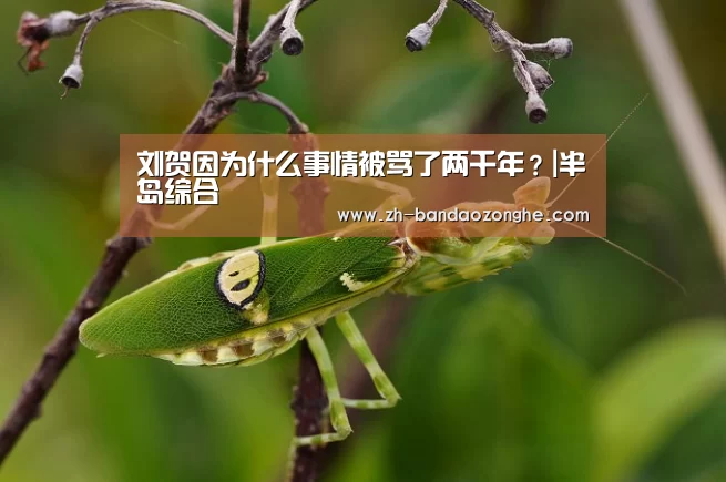 刘贺因为什么事情被骂了两千年?|半岛综合(图1) 半岛综合