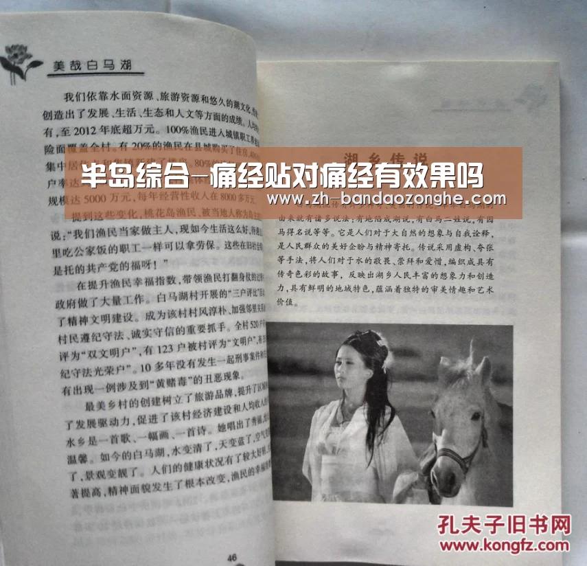 半岛综合