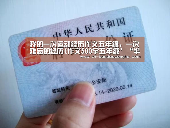 半岛综合