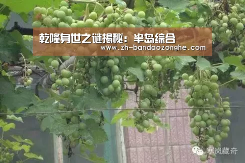 乾隆身世之谜揭秘:半岛综合(图1) 半岛综合