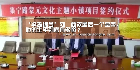 ‘半岛综合’刘衎西汉最后一个皇帝,他的生平到底有多惨?(图1) 半岛综合
