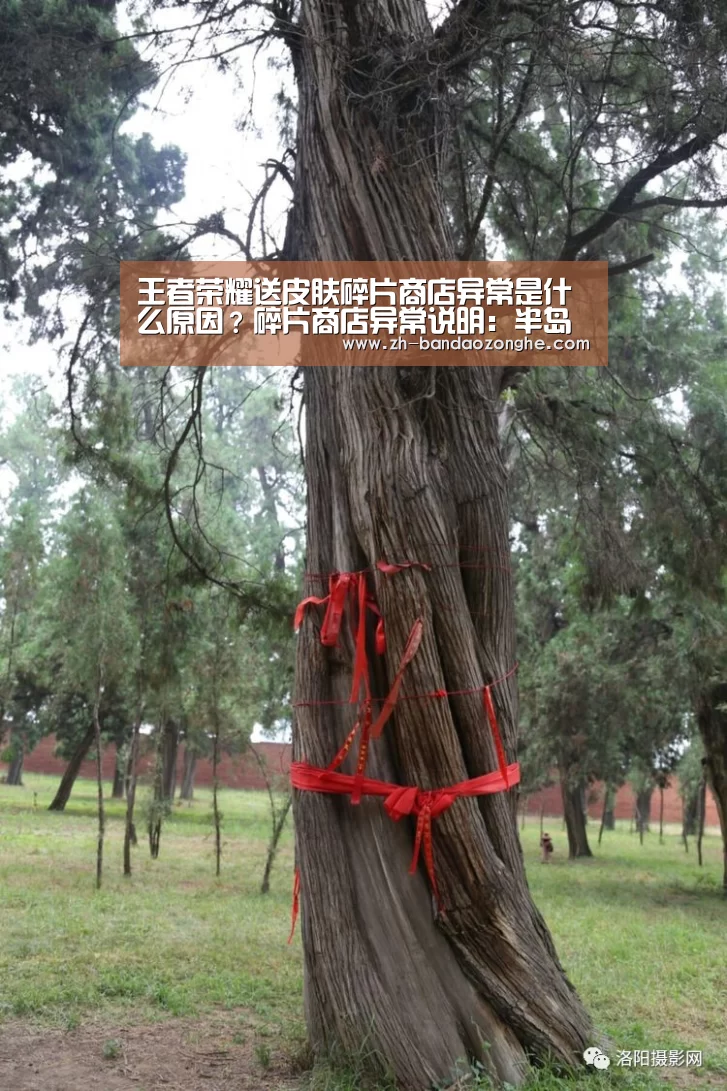 王者荣耀送皮肤碎片商店异常是什么原因?碎片商店异常说明:半岛综合(图1) 半岛综合