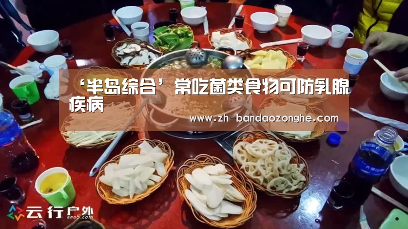 半岛综合