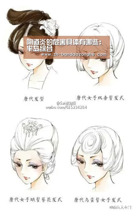 阴道炎的危害具体有哪些:半岛综合(图1) 半岛综合