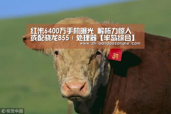 红米6400万手机曝光 解析力惊人 或配骁龙855+处理器【半岛综合】(图1) 半岛综合
