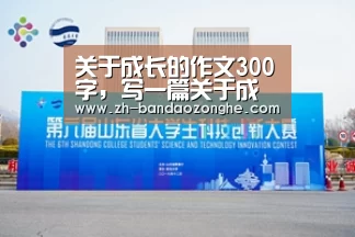 半岛综合