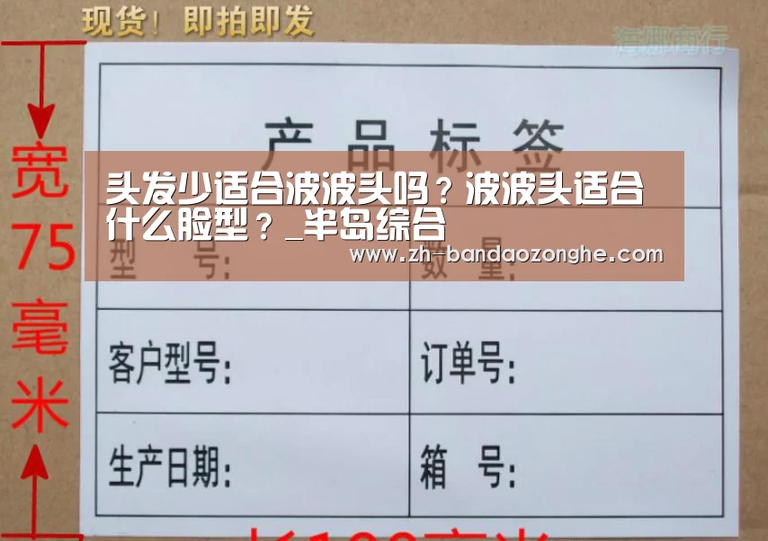 半岛综合