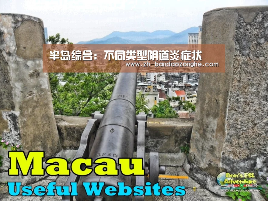 半岛综合:不同类型阴道炎症状(图1) 半岛综合