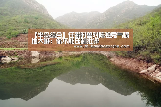 【半岛综合】任弼时曾对陈独秀气愤地大喊:你不能压制批评(图4) 半岛综合