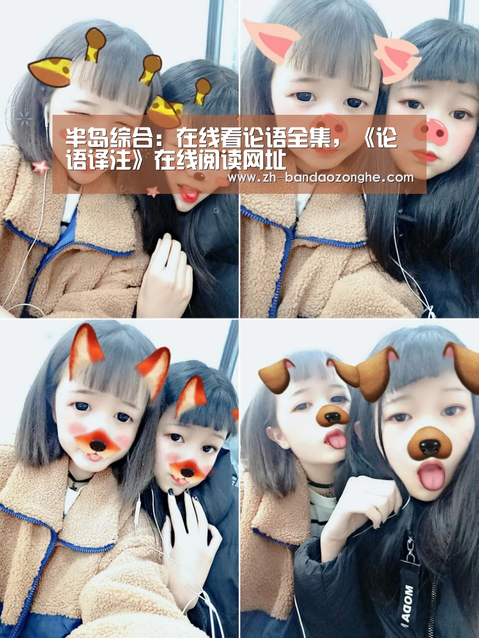 半岛综合:在线看论语全集,《论语译注》在线阅读网址(图2) 半岛综合