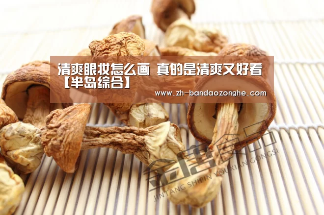 半岛综合